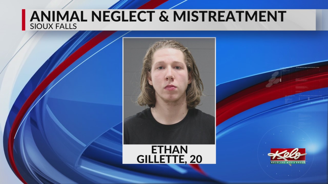 Puppy killer behind bars in Sioux Falls – KELOLAND.com