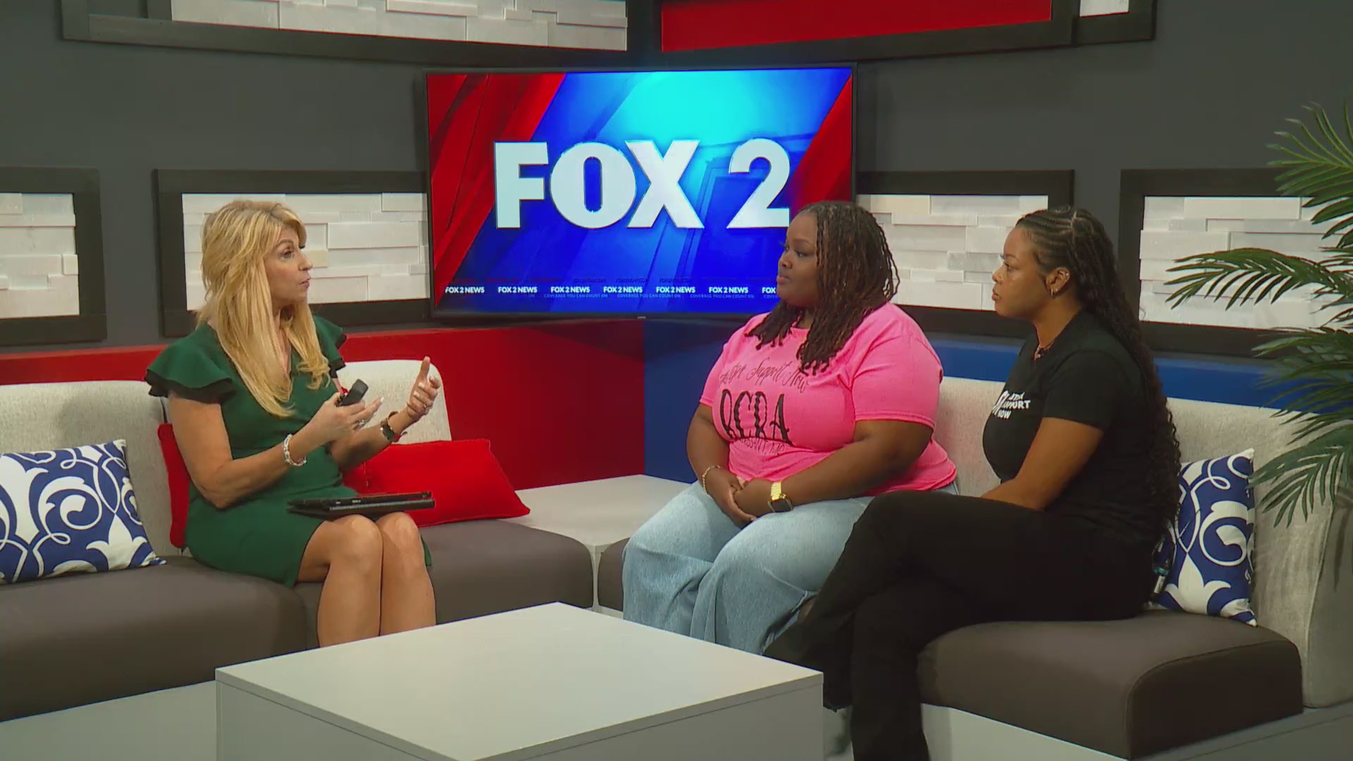 Autism Support Now – FOX 2