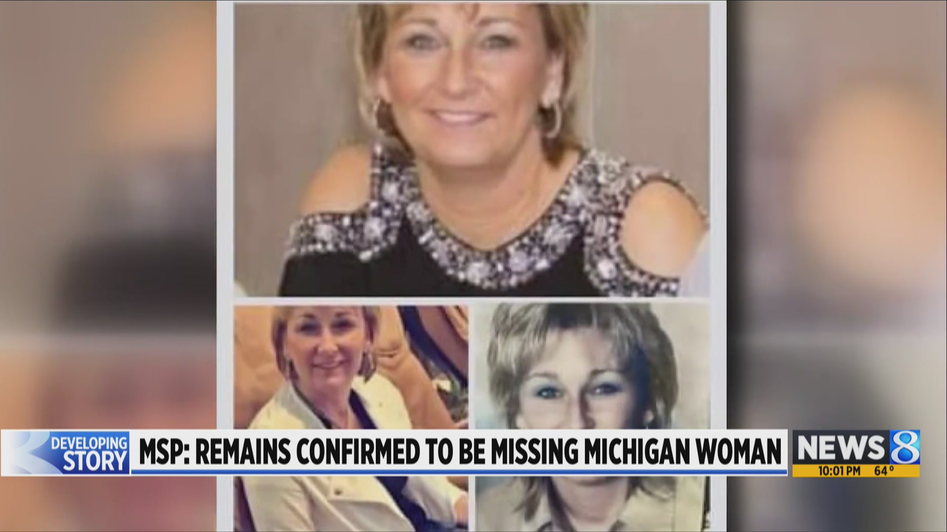 MSP Remains confirmed to be missing Michigan woman(02)