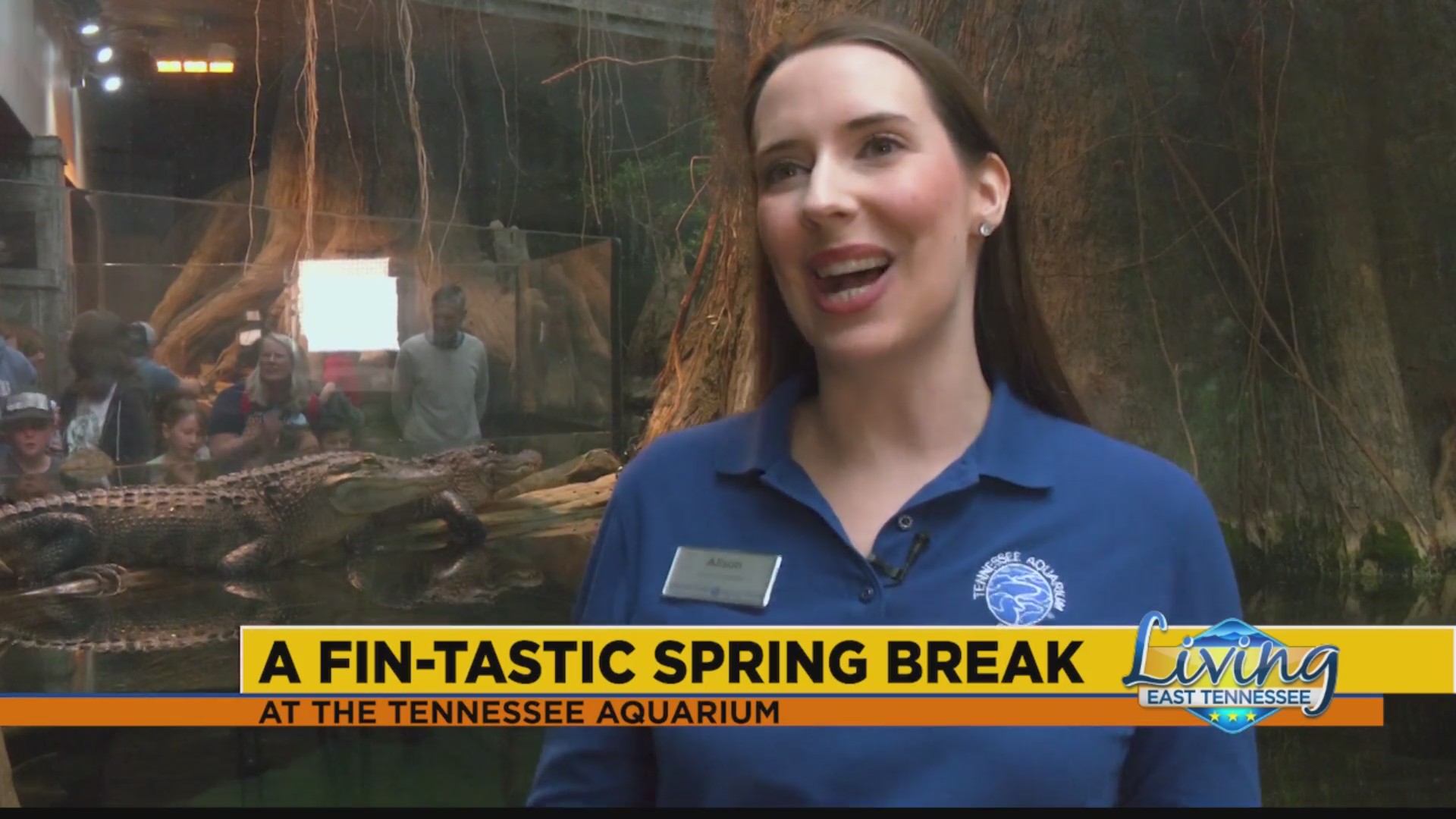 A fin-tastic spring break – WATE 6 On Your Side