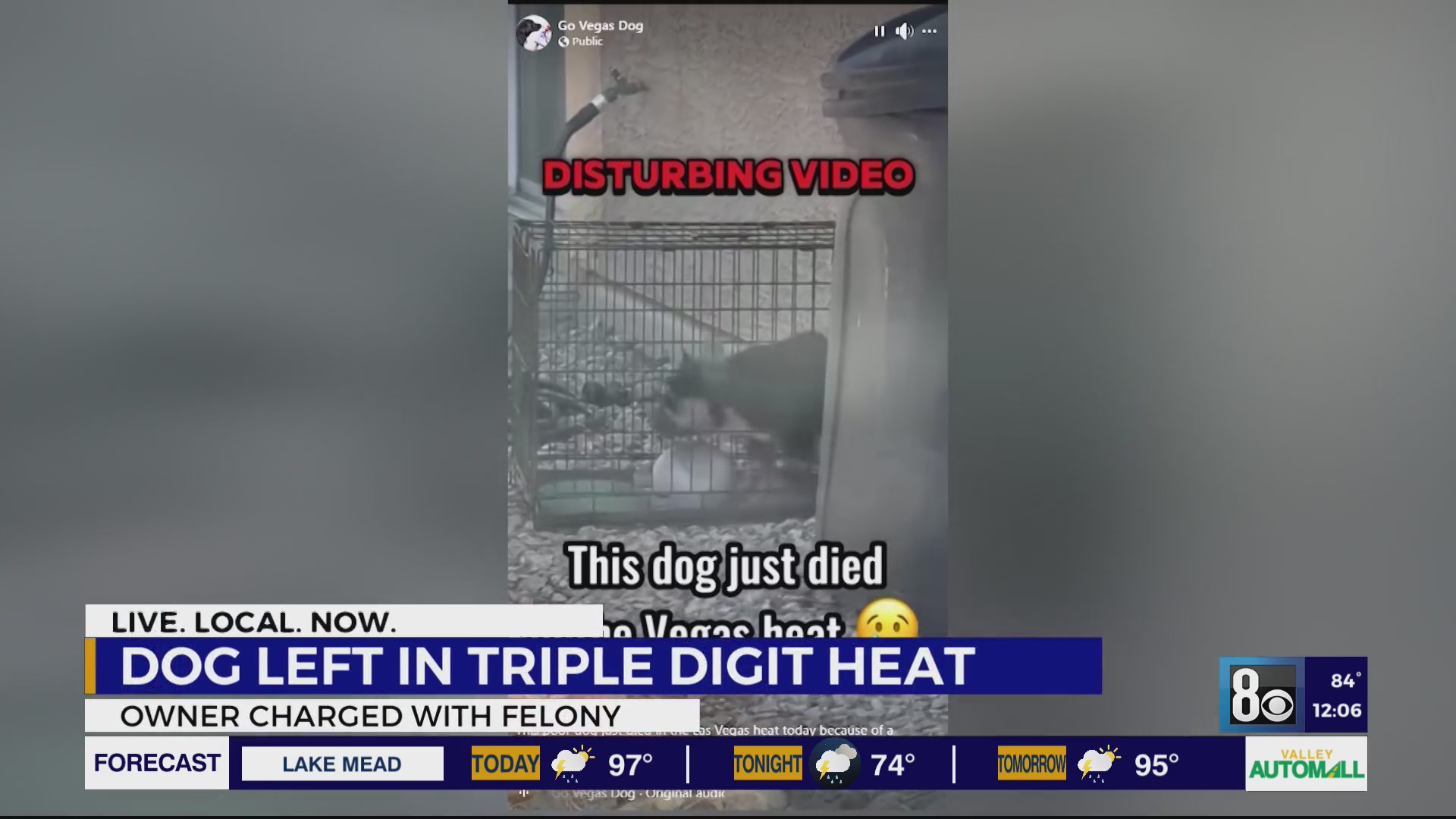 Dog dies in extreme Las Vegas heat after woman says she fell asleep ...