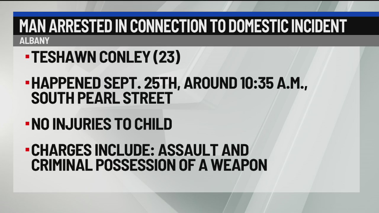 Albany man arrested on assault, weapon charges in domestic incident ...