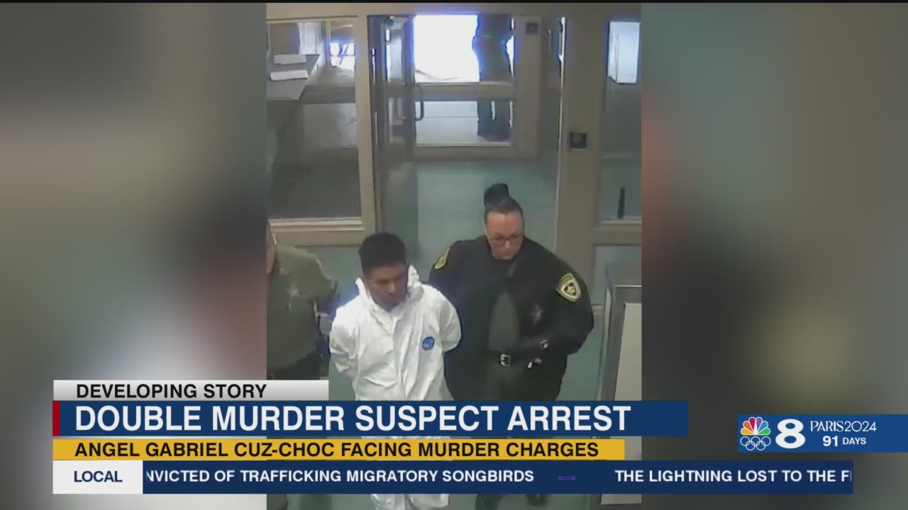 Dover double-murder suspect scheduled to appear in court – WFLA