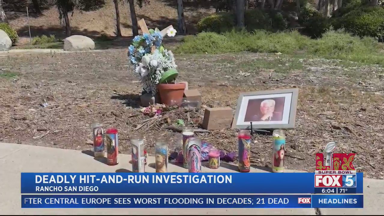 Family pleads for driver to come forward after 81-year-old killed while ...