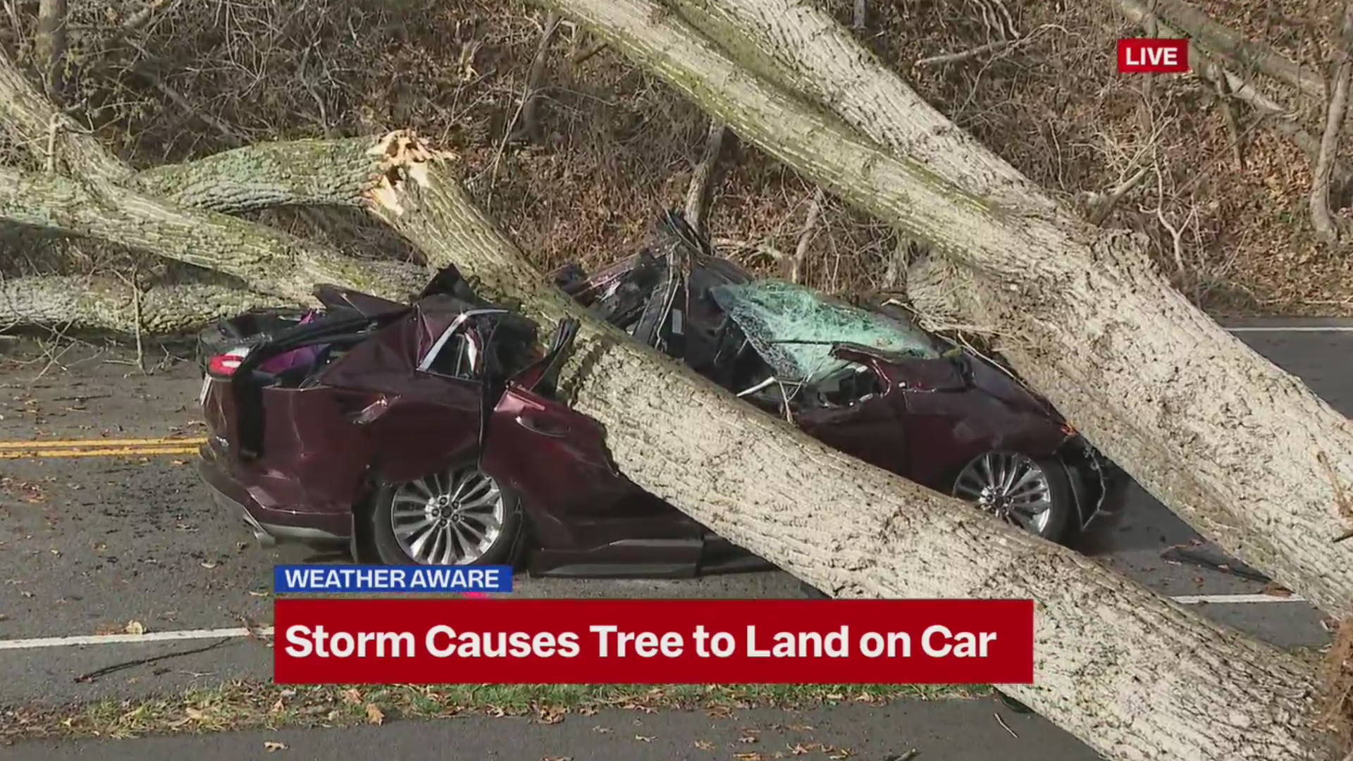 Driver taken to hospital after tree smashes car in Blue Springs – FOX 4 ...