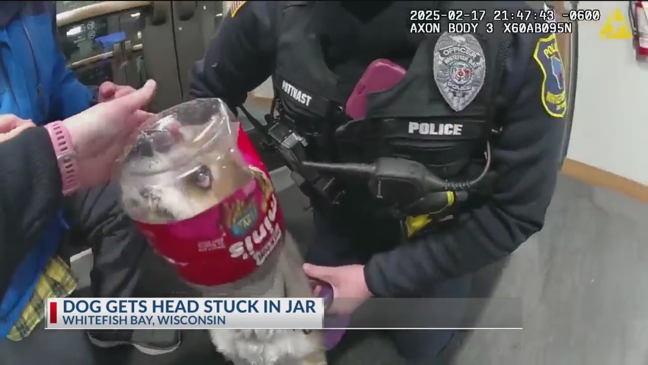 Police rescue dog with head stuck in jar KSNT 27