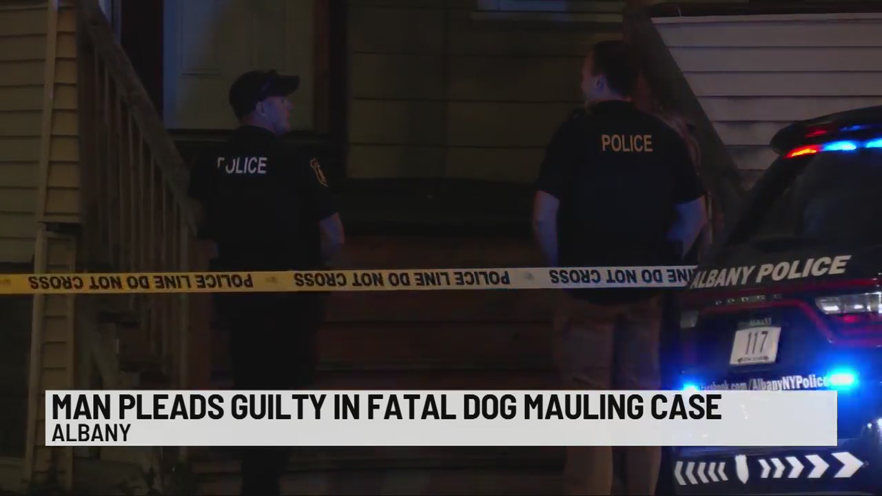 Guilty plea in fatal dog mauling case – NEWS10 ABC