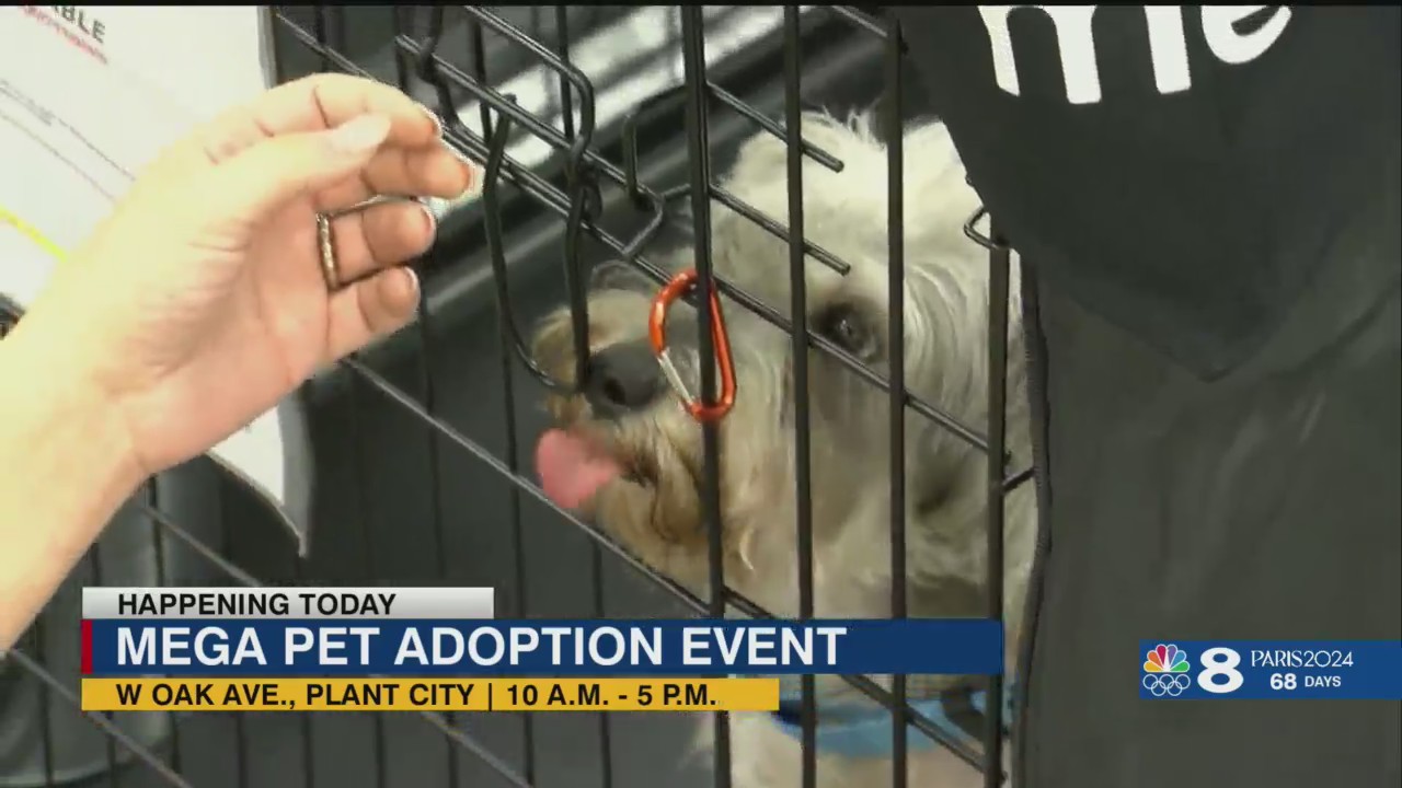 Plant City hosts mega pet adoption event – WFLA