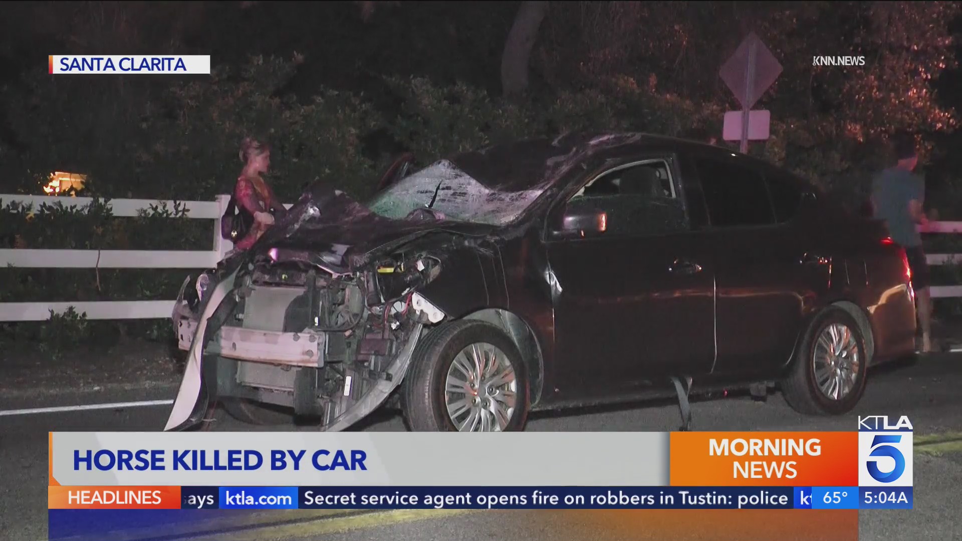 Horse dies after violent crash in Los Angeles County – KTLA