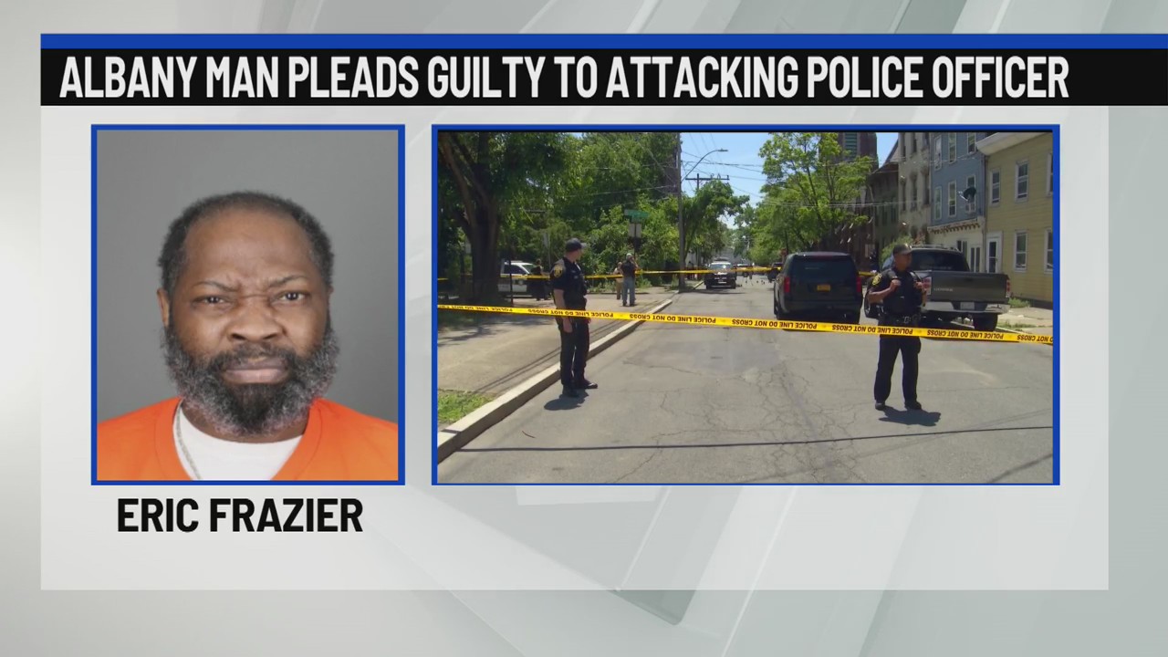 Albany man pleads guilty to attacking police officers – NEWS10 ABC