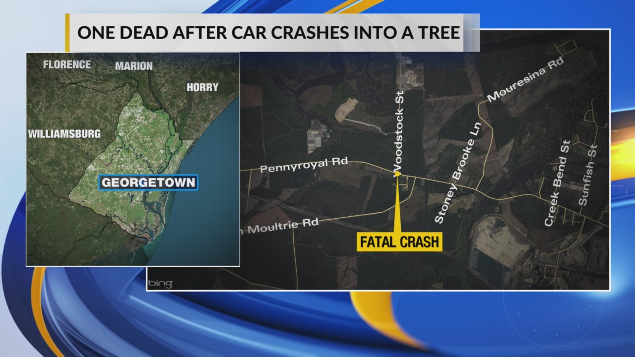 1 dead after car hits tree in Georgetown County, highway patrol says – WBTW