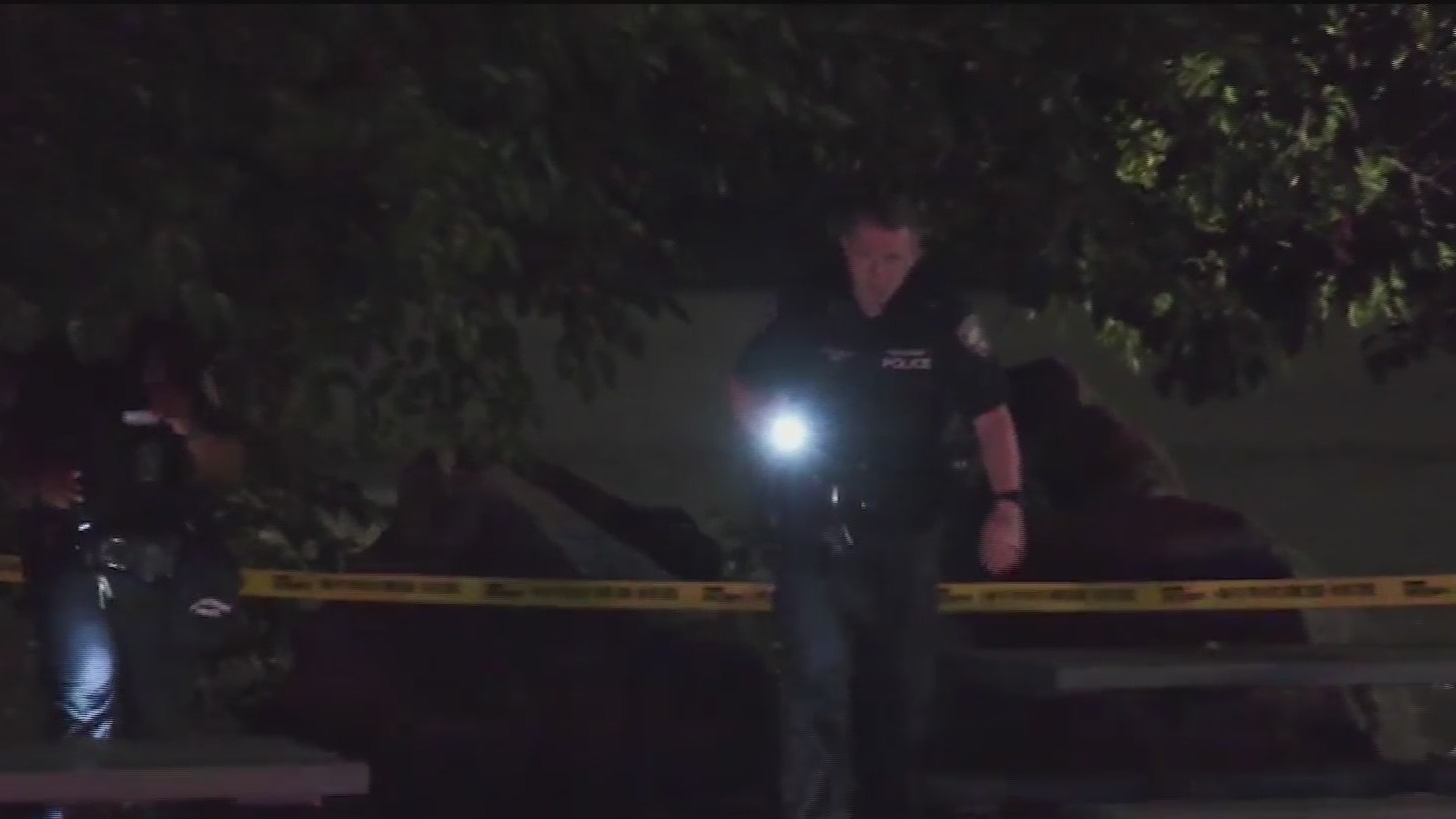 Off-duty Border Patrol agent shot in the face: Sources – PIX11
