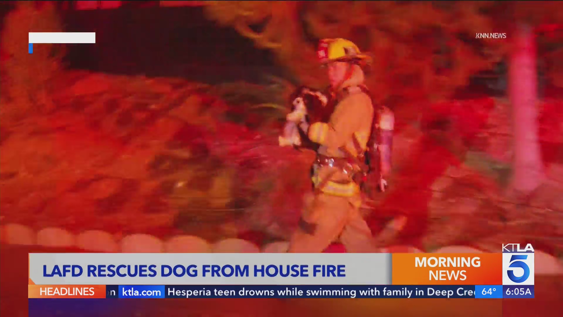 LAFD rescues dog from house fire – KTLA