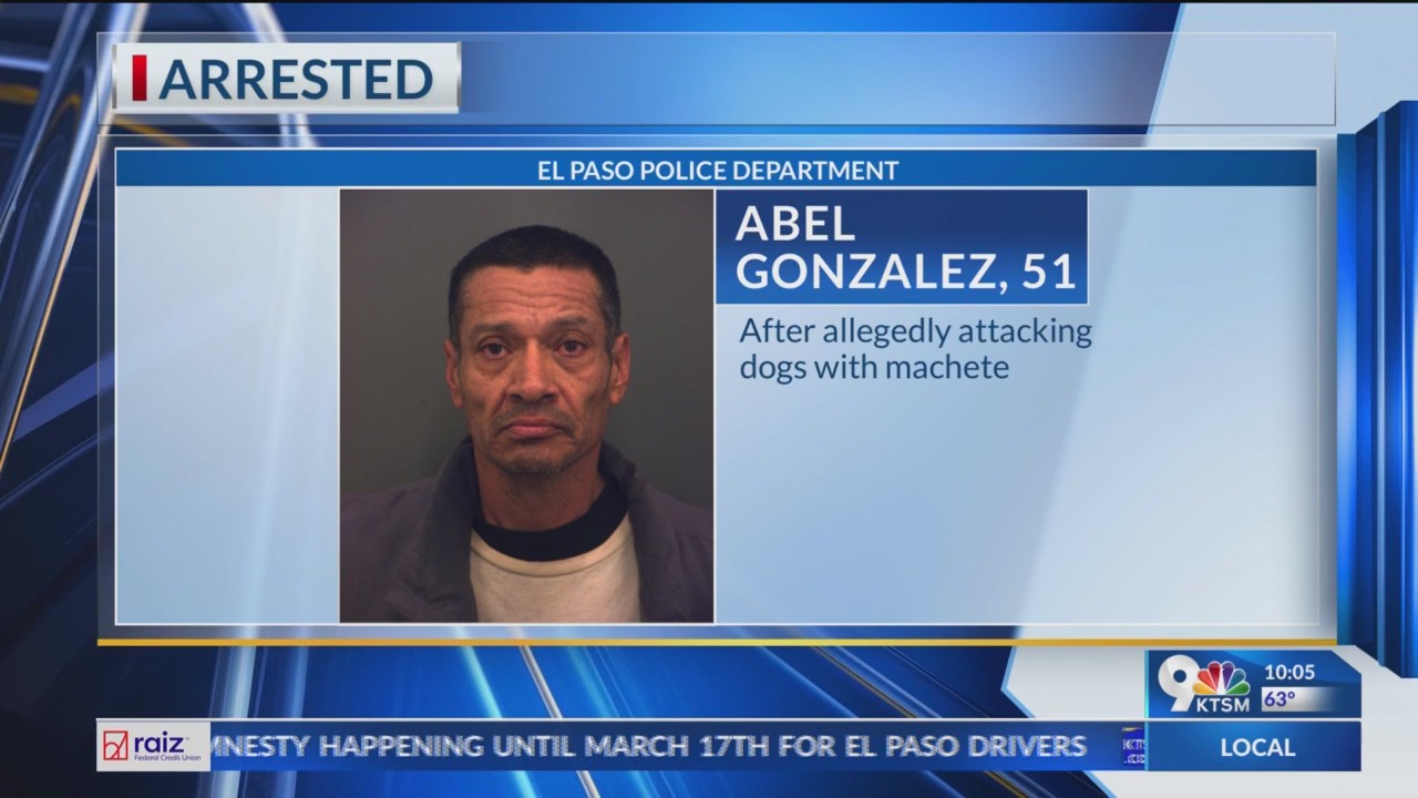 Man arrested after allegedly attacking dogs with machete – KTSM 9 News
