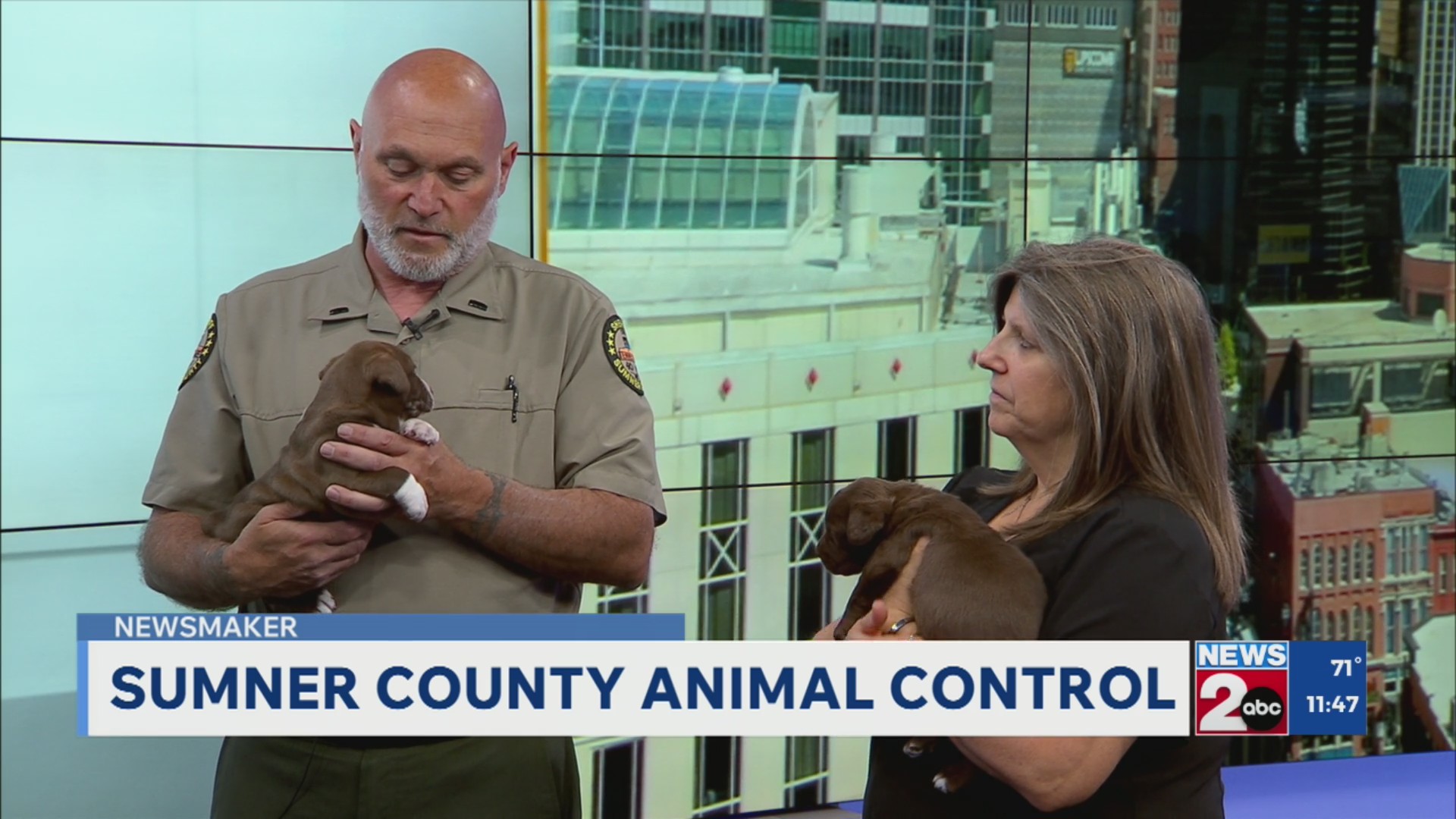 Newsmaker: Sumner County Animal Services – WKRN News 2