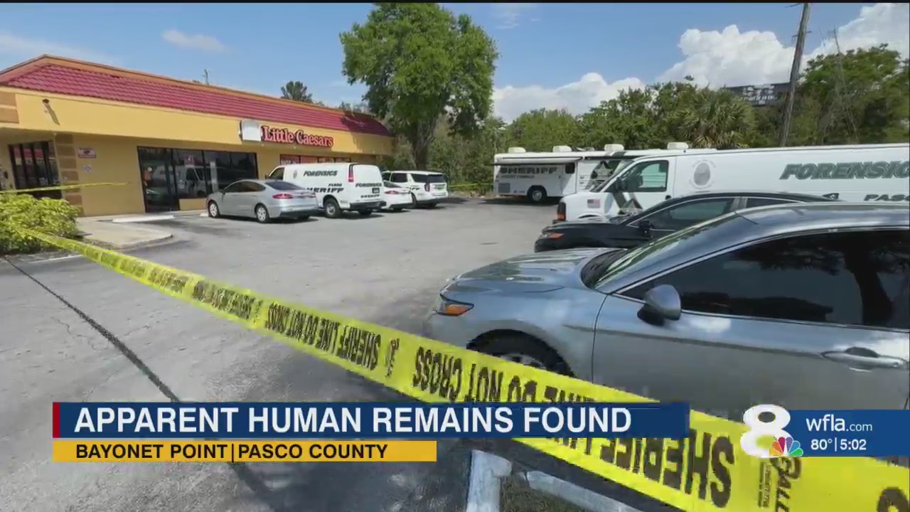 Deputies find apparent human remains in Pasco County – WFLA