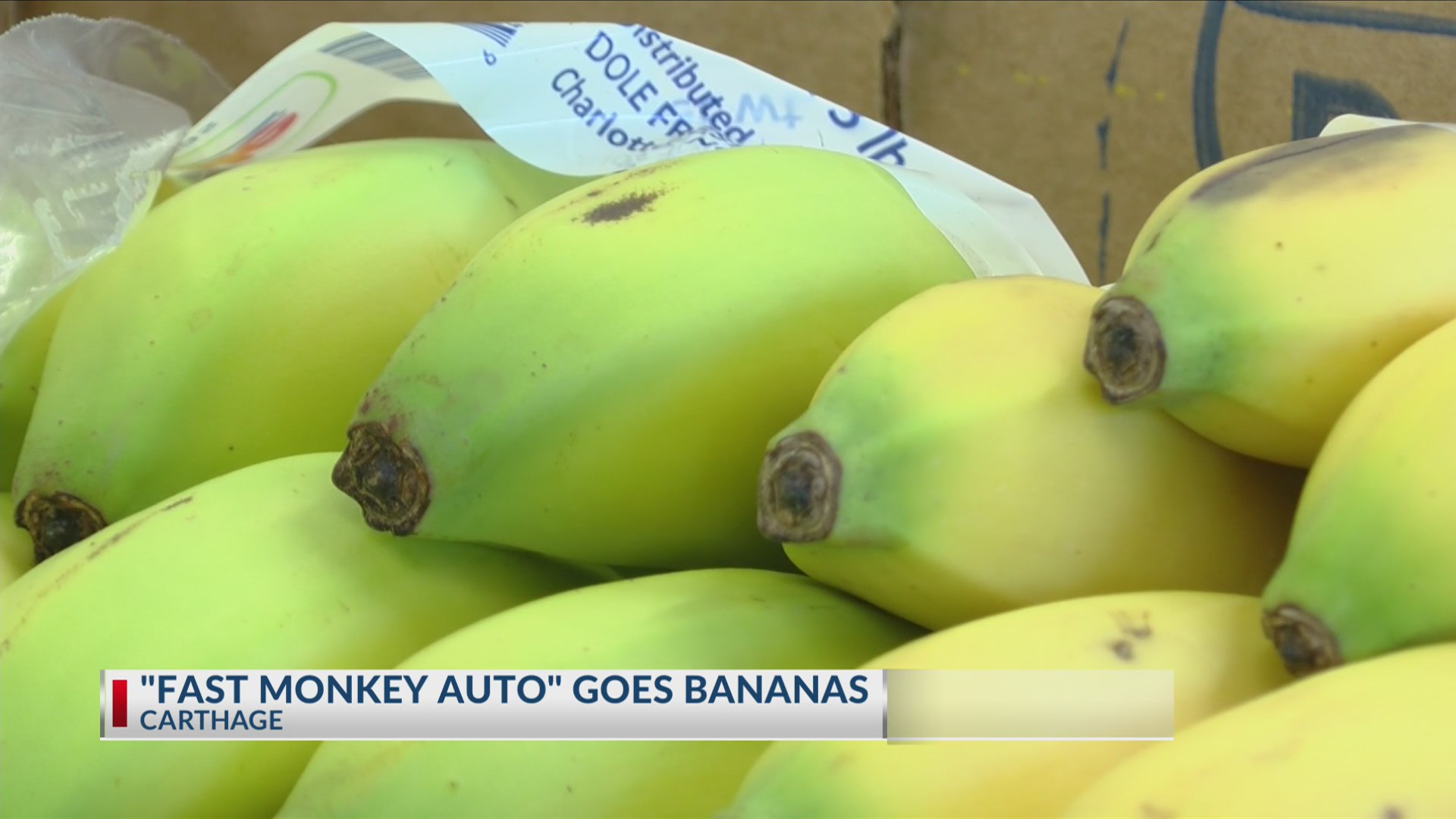 “It’s different,” Fan favorite returning to 2024 Maple Leaf Parade