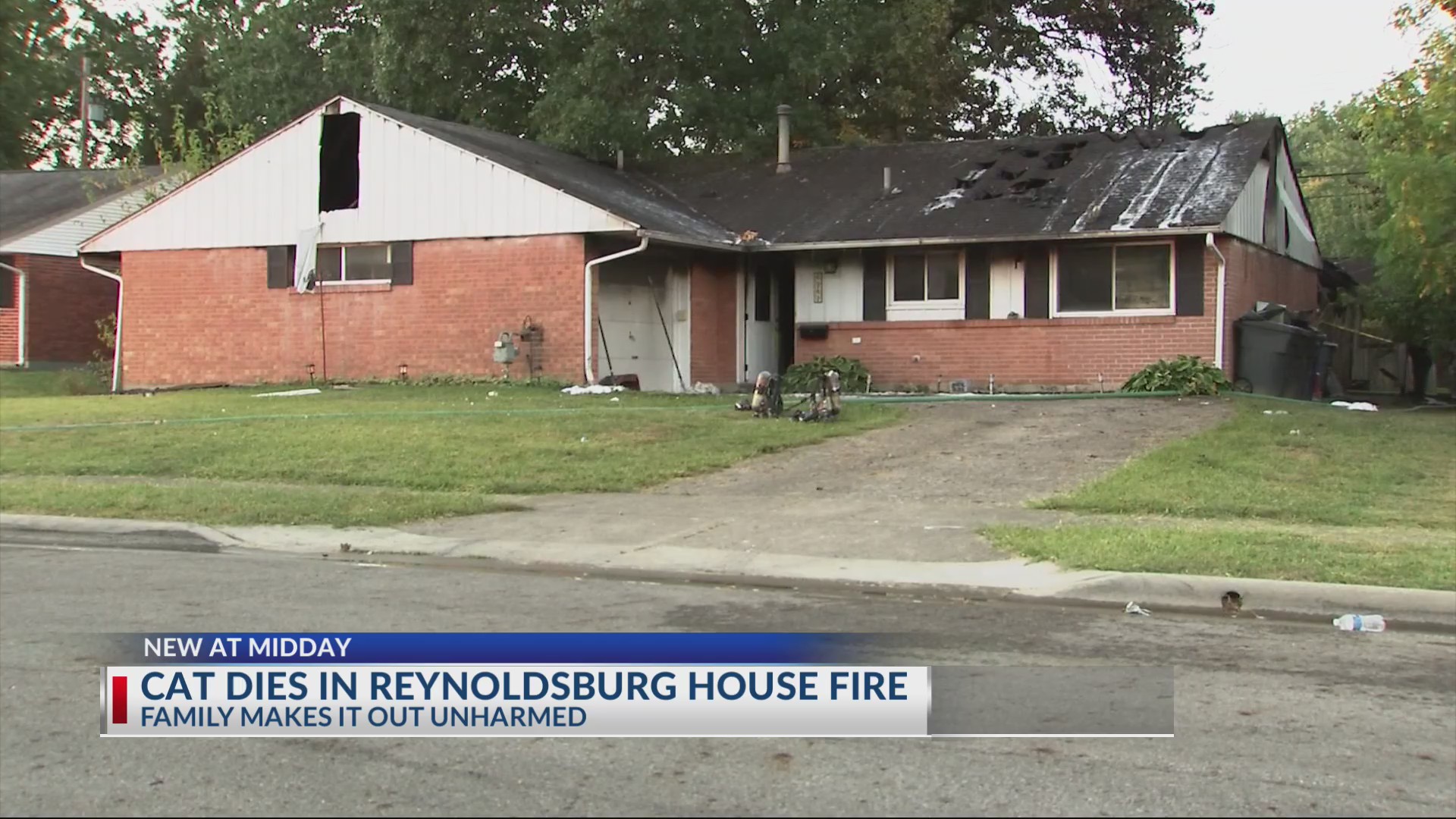 Family escapes Reynoldsburg fire, cat found dead – NBC4 WCMH-TV