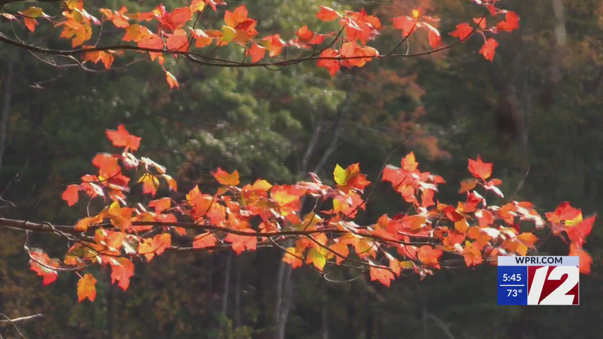 When will the fall foliage peak in our area? – WPRI.com