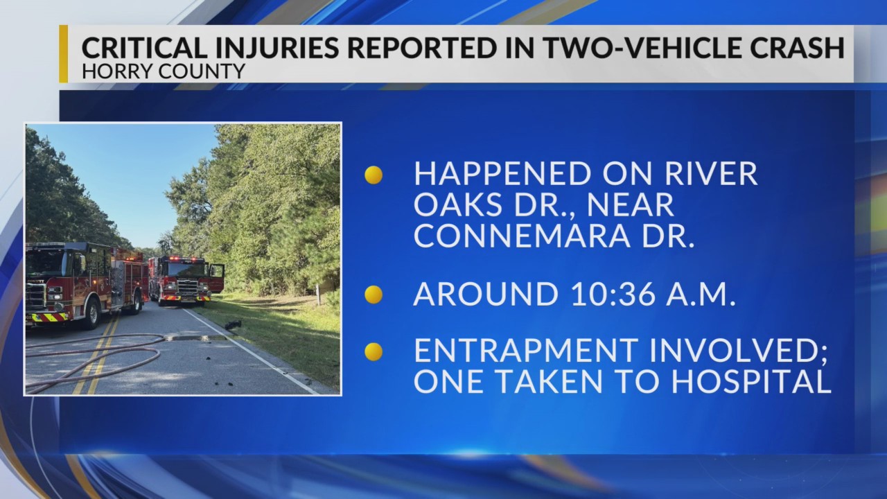 Critical injuries reported in River Oaks Drive crash – WBTW
