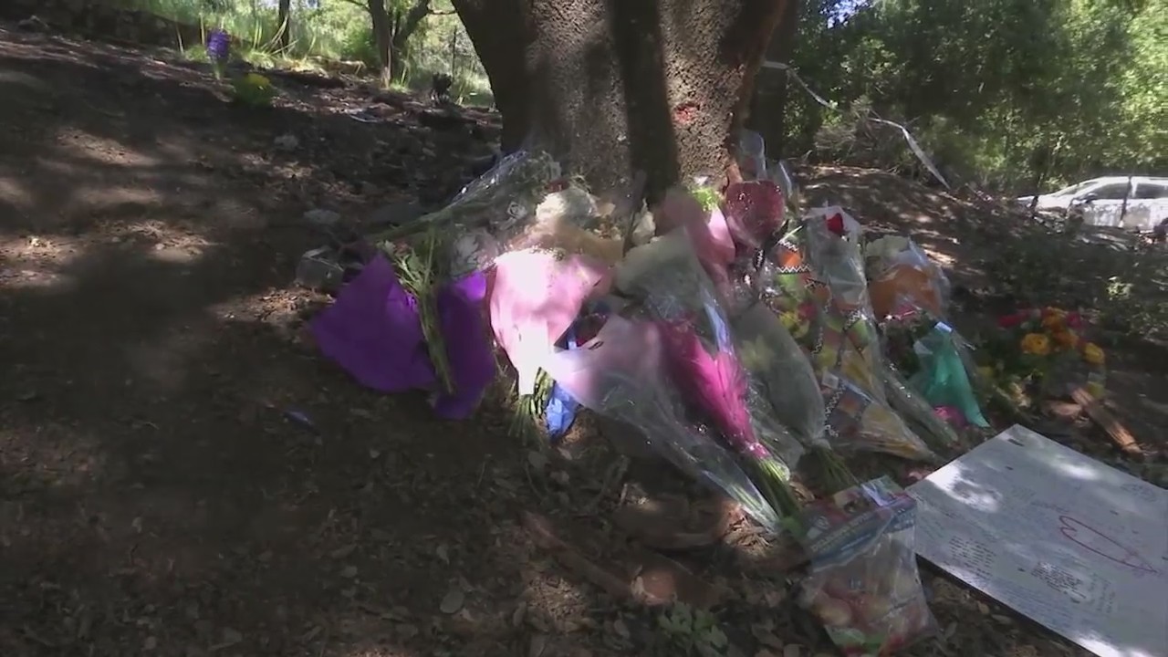 New details emerge on family of 4 killed in Pleasanton crash – KRON4