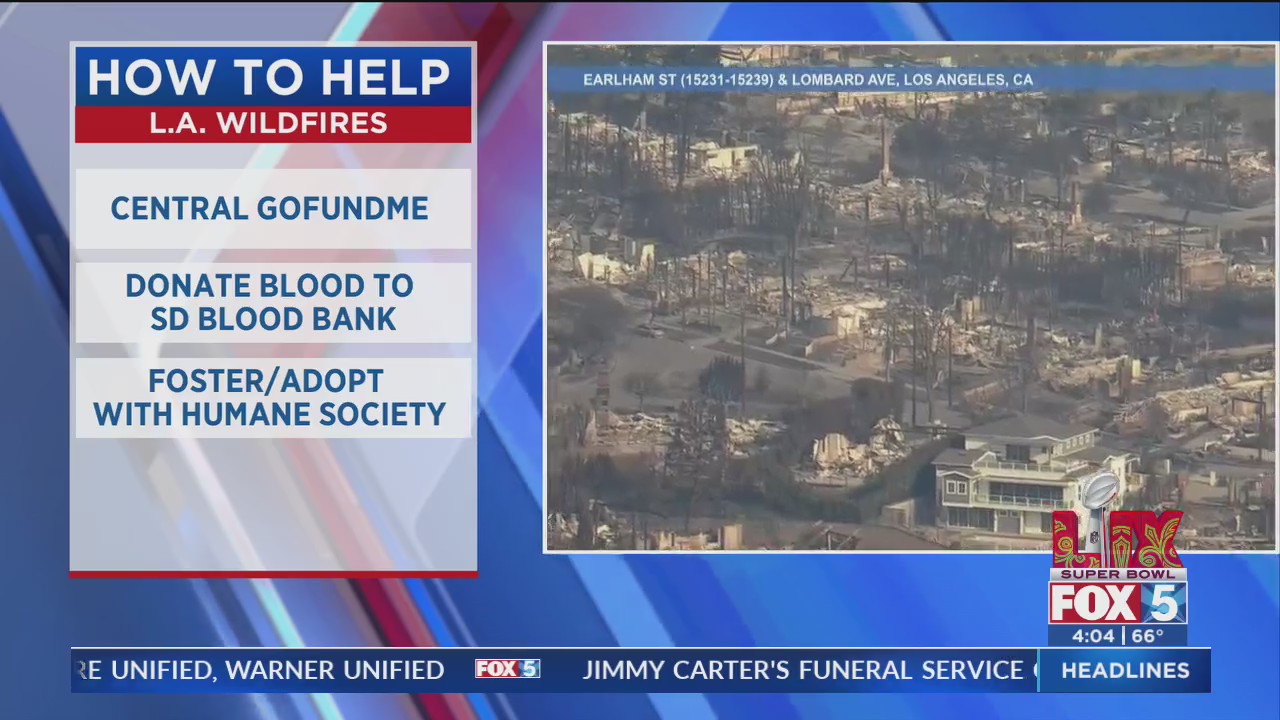 How to help those impacted by the Los Angeles wildfires – FOX 5 San ...