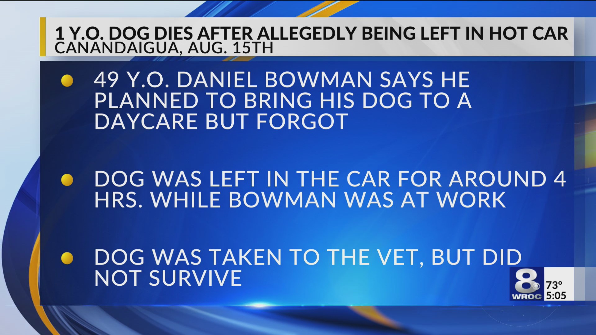 Dog dies after allegedly being left in hot car in Canandaigua ...