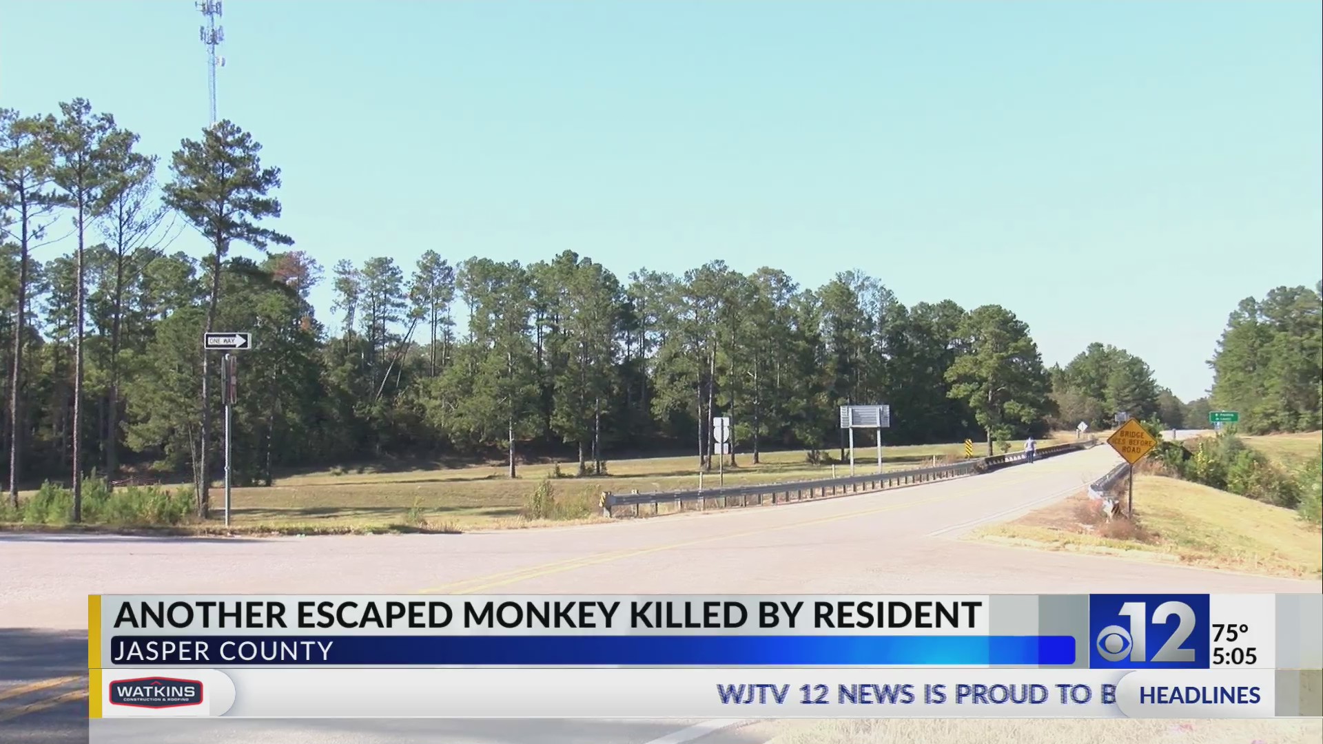 Jasper County man says he killed escaped monkey to protect family – WJTV