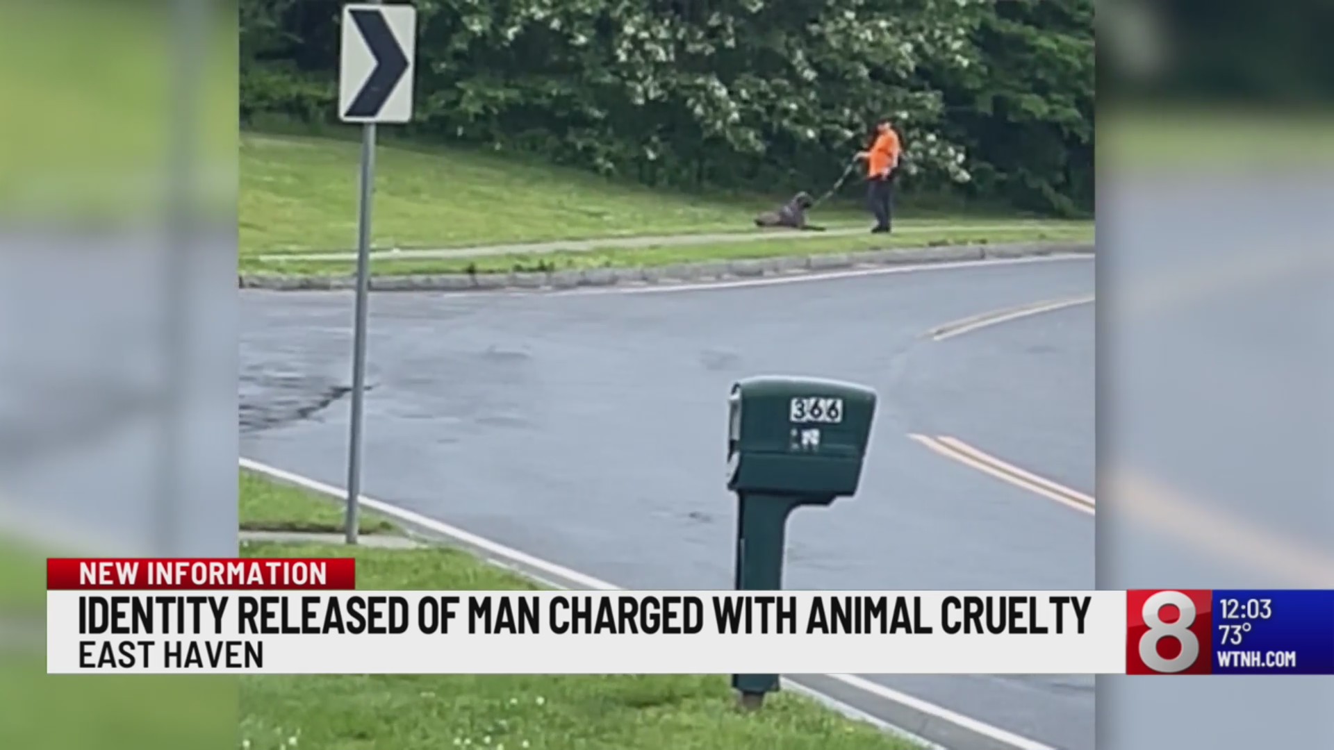 Man faces animal cruelty charges after video shows dog being kicked in ...