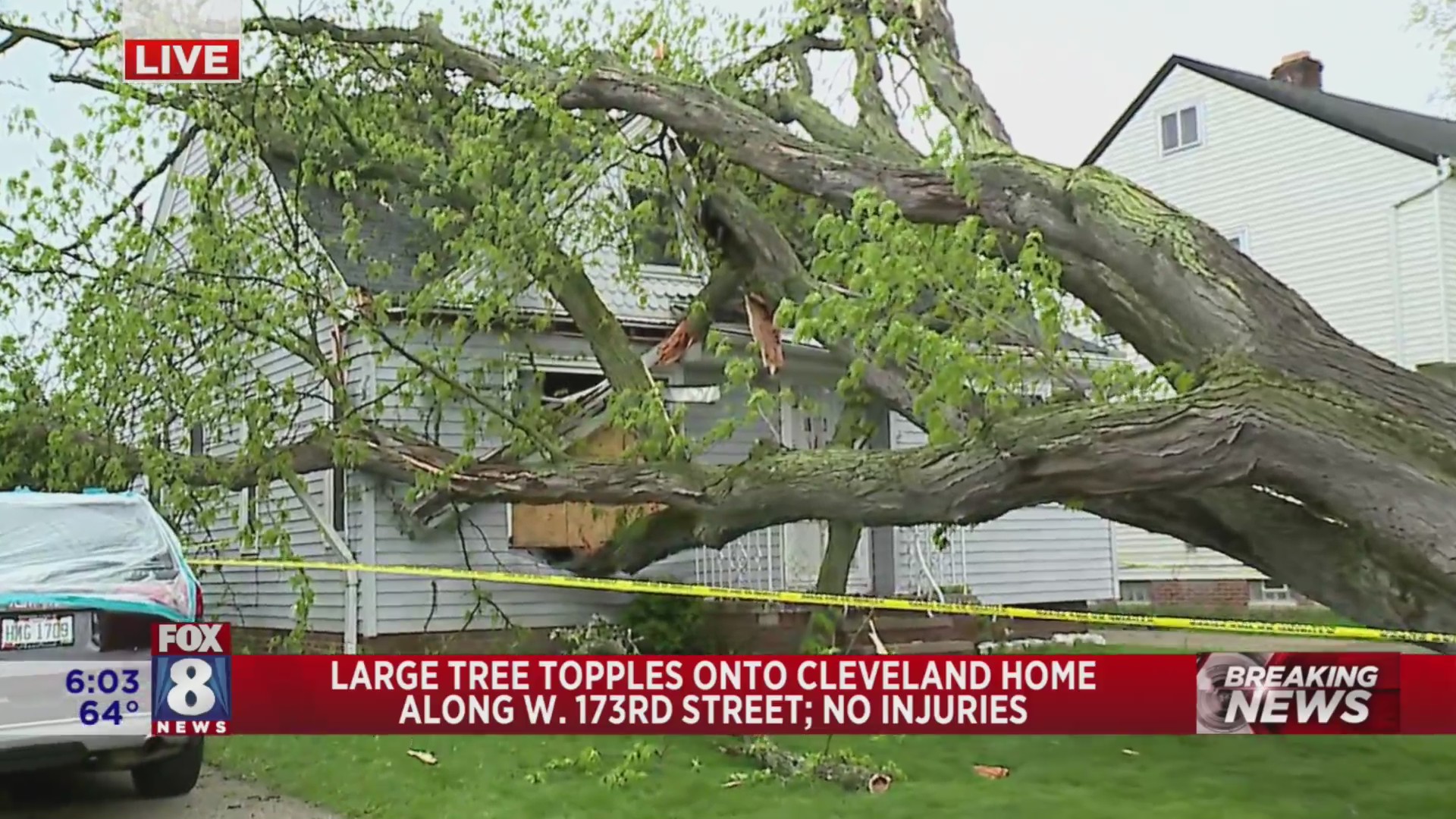 Photos: Tree crashes onto Cleveland house during storms – Fox 8 ...