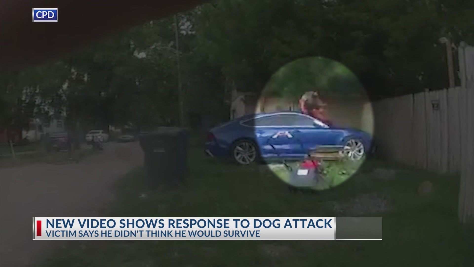 New video shows response to dog attack – NBC4 WCMH-TV