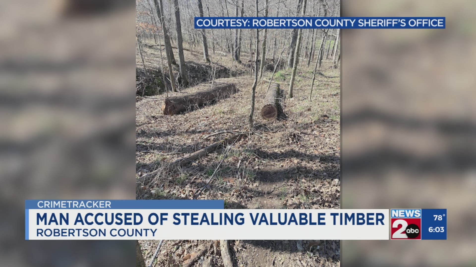 Man accused of stealing valuable timber in Robertson County, TN WKRN