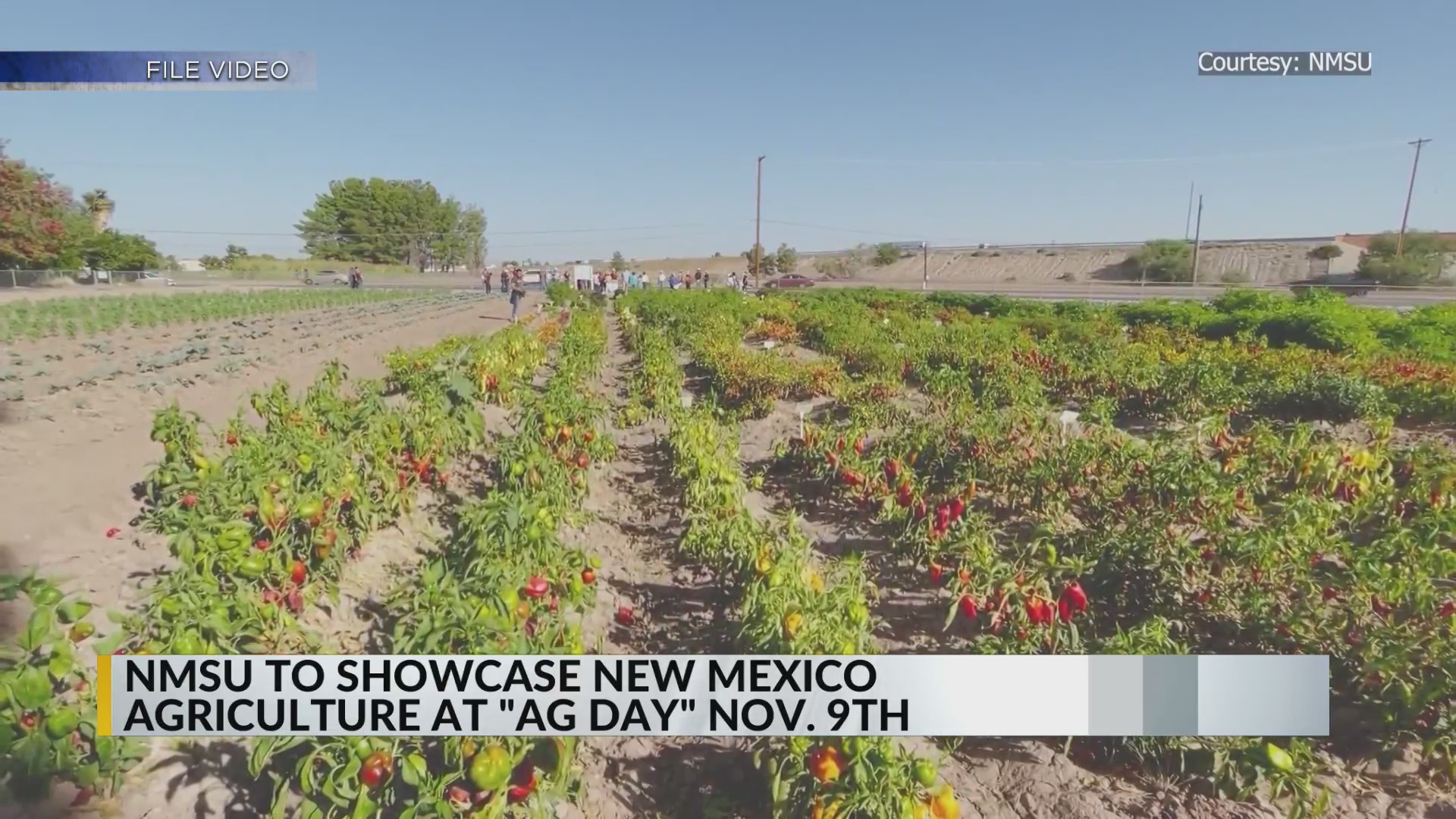 NMSU hosting ‘Ag Day’ on November 9 KRQE NEWS 13 Breaking News