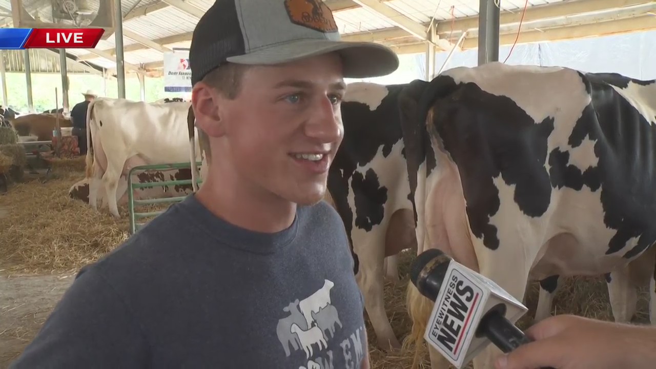 Ben Walls interviews a 10-year 4-H member about his cattle – Eyewitness ...
