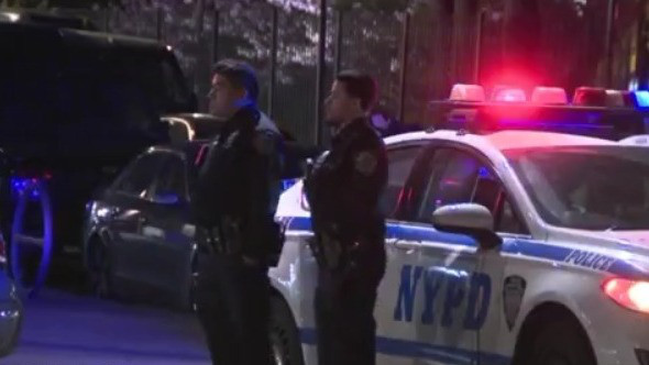 Grandmother, 61, shot to death in Harlem: sources – PIX11