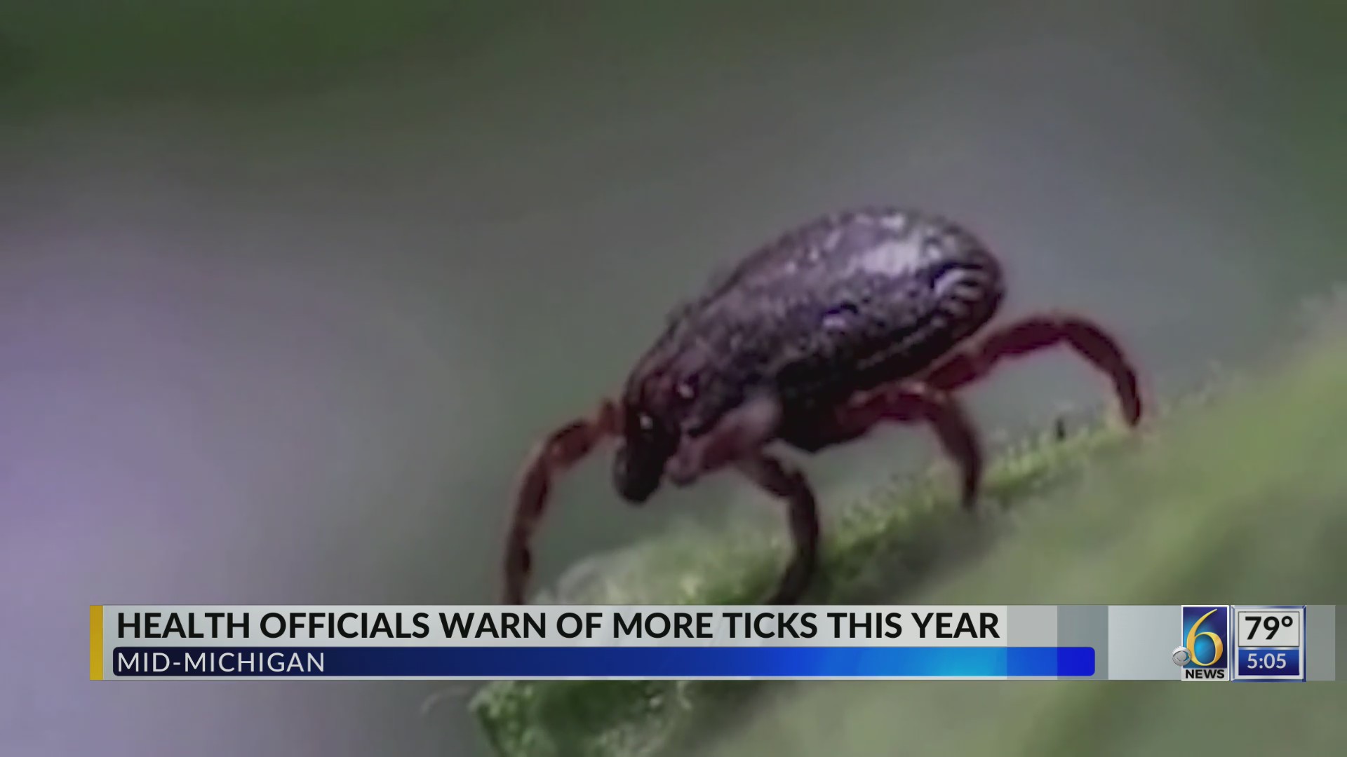 Health officials warn of more ticks this year – WLNS 6 News