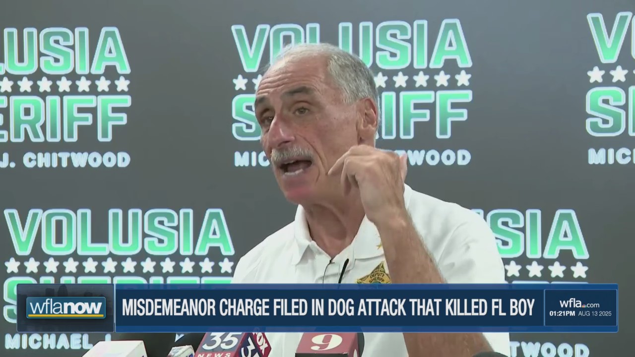 Volusia sheriff to push for harsher penalties in deadly dog attacks – WFLA