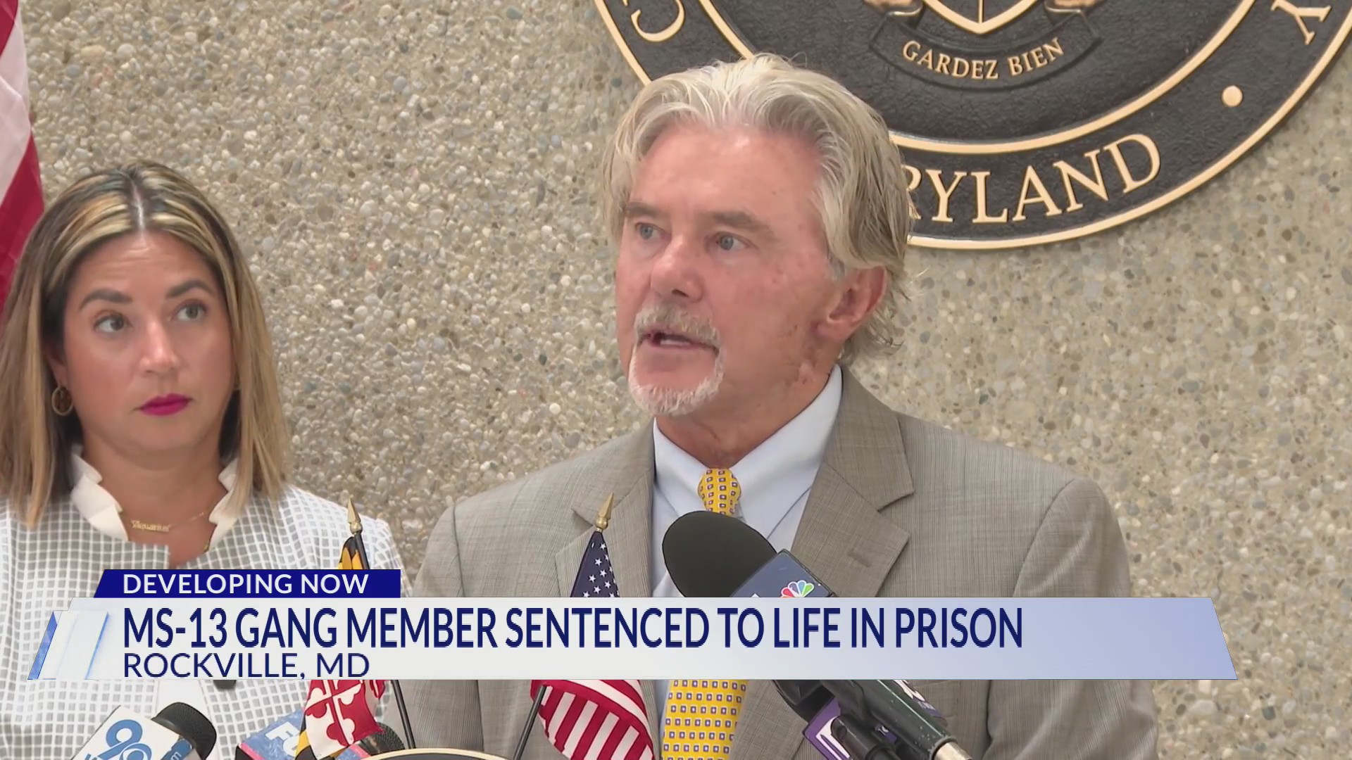 MS-13 gang member to spend life in prison for ‘execution-style ...