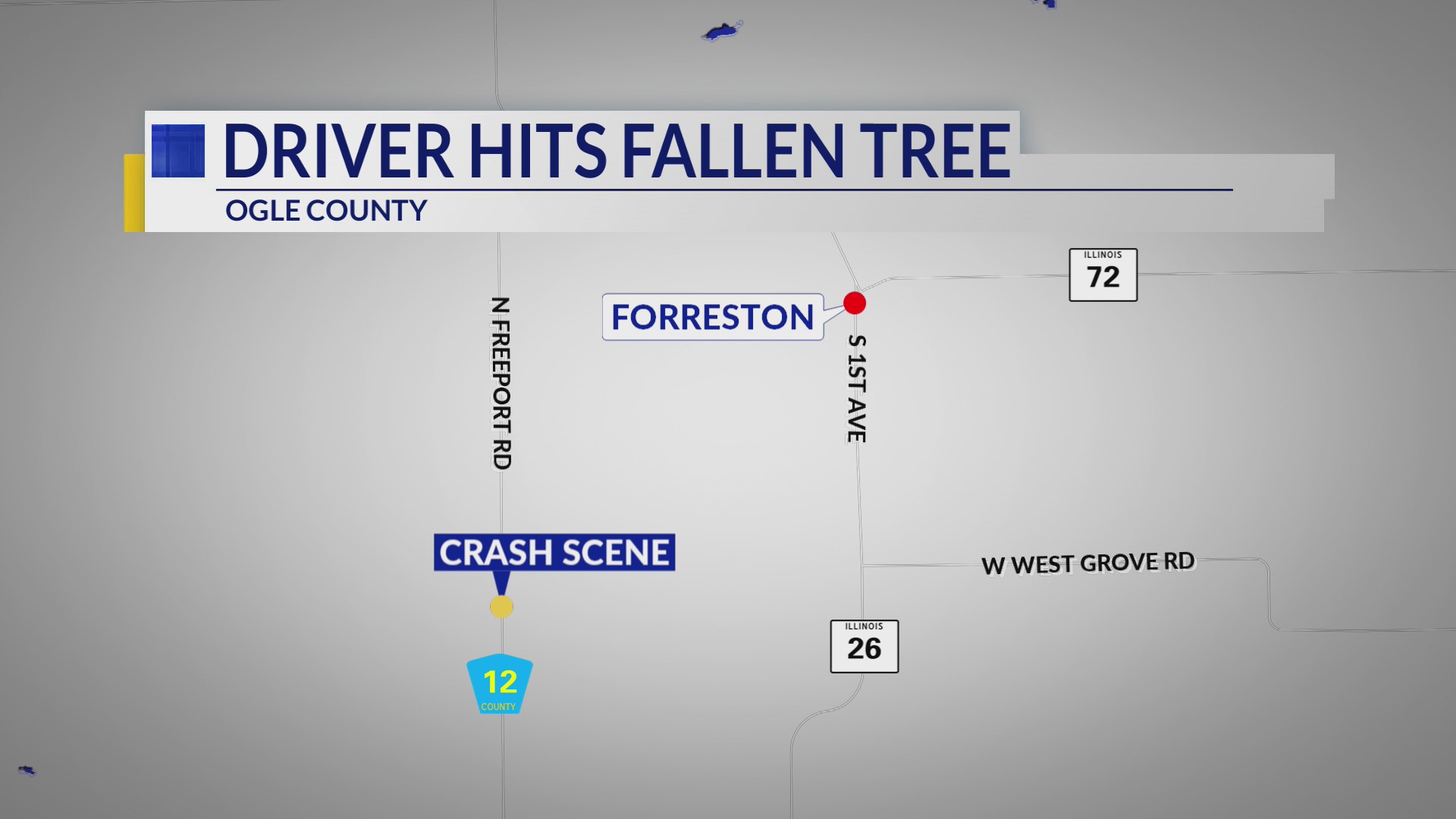Ogle County man hospitalized after crashing into fallen tree following ...