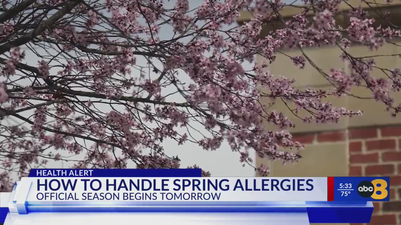 ‘It’s been terrible’: Local allergist weighs in on spring allergy ...
