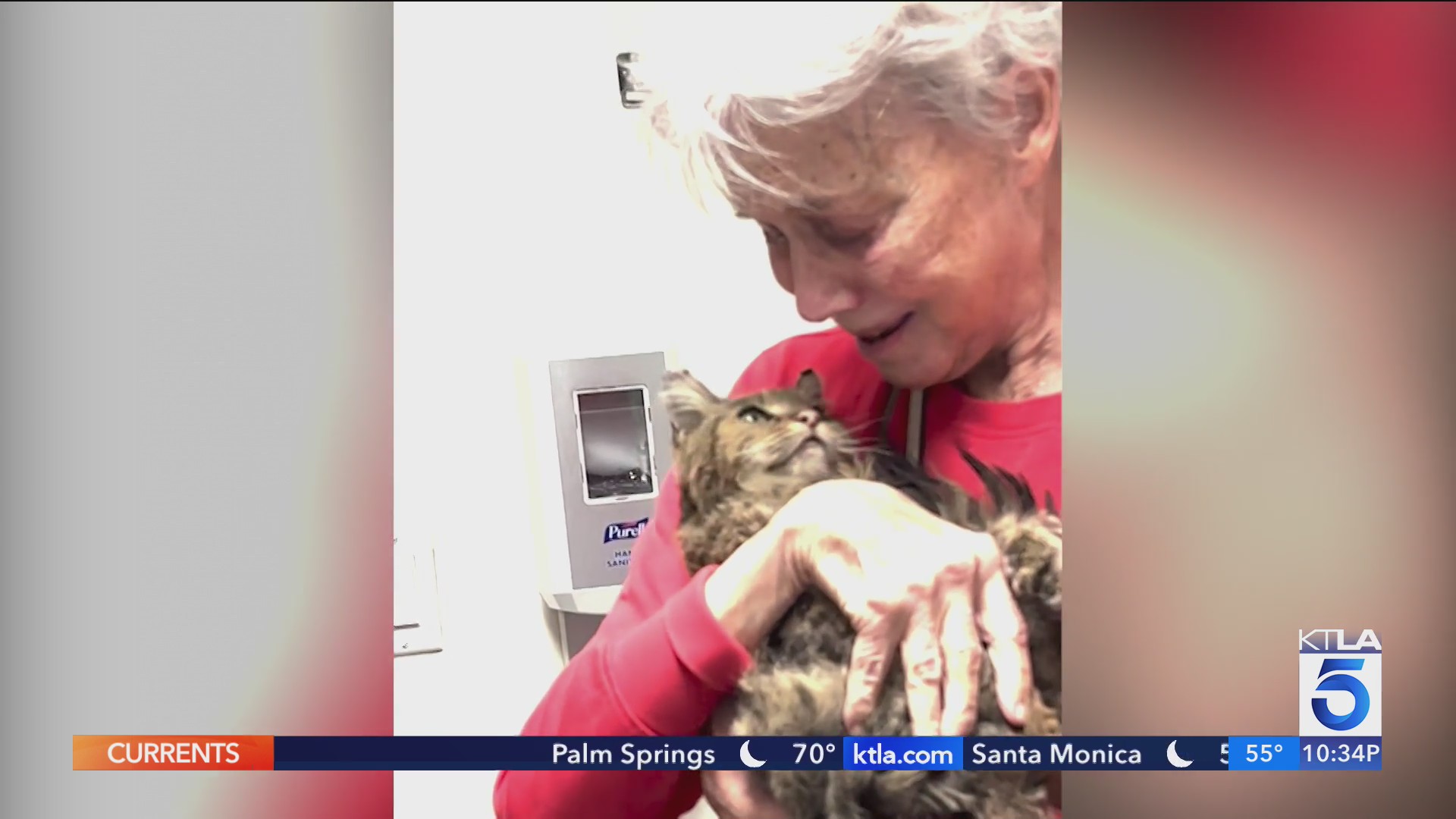 Woman reunited with cat presumed lost in Palisades Fire – KTLA