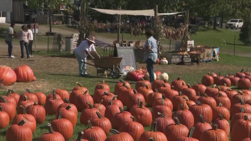 What to do in NYC this fall – PIX11