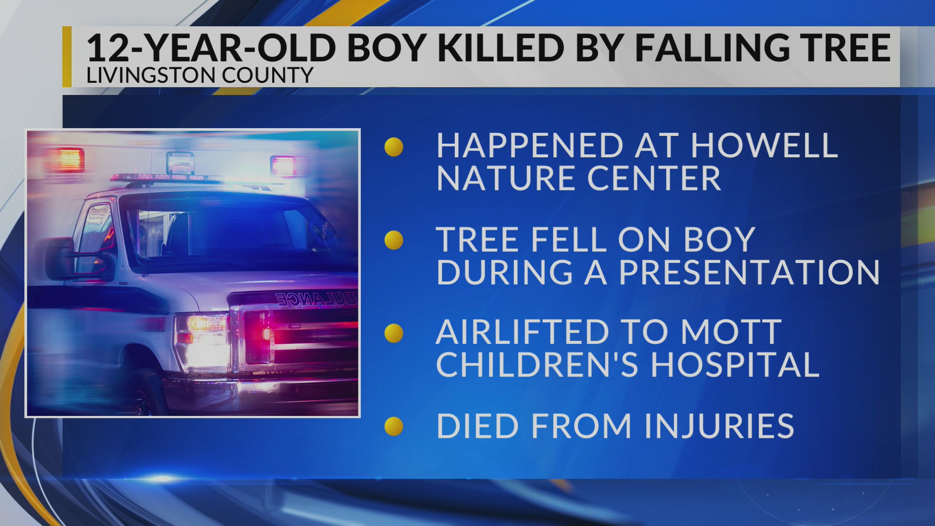 Boy dies after tree falling on his head WLNS 6 News