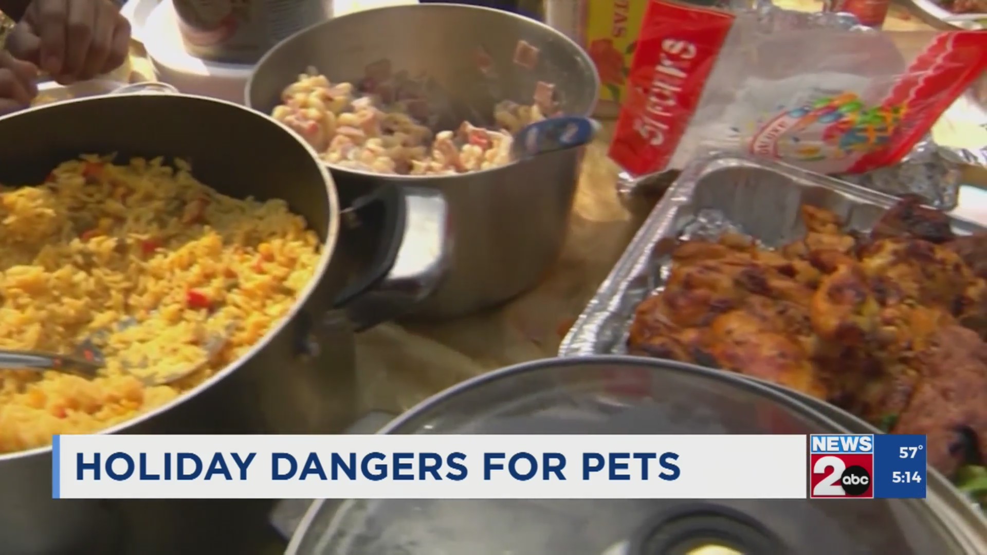 holiday-dangers-for-pets-wkrn-news-2