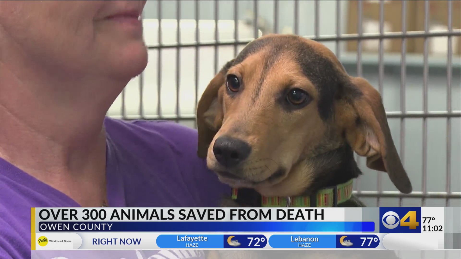 348 animals seized from home in Owen County, owners facing charges – Fox 59