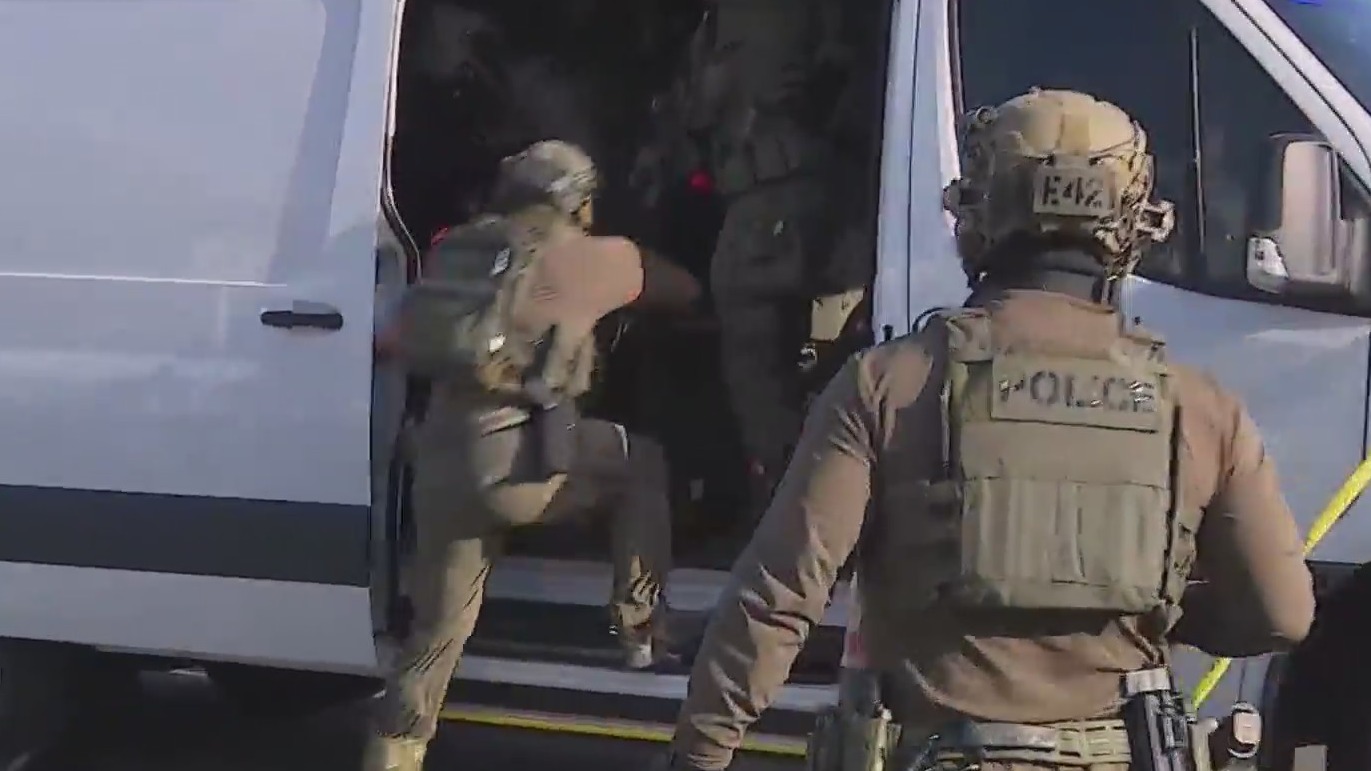 ICE raids lead to arrests, protests – FOX 5 San Diego & KUSI News