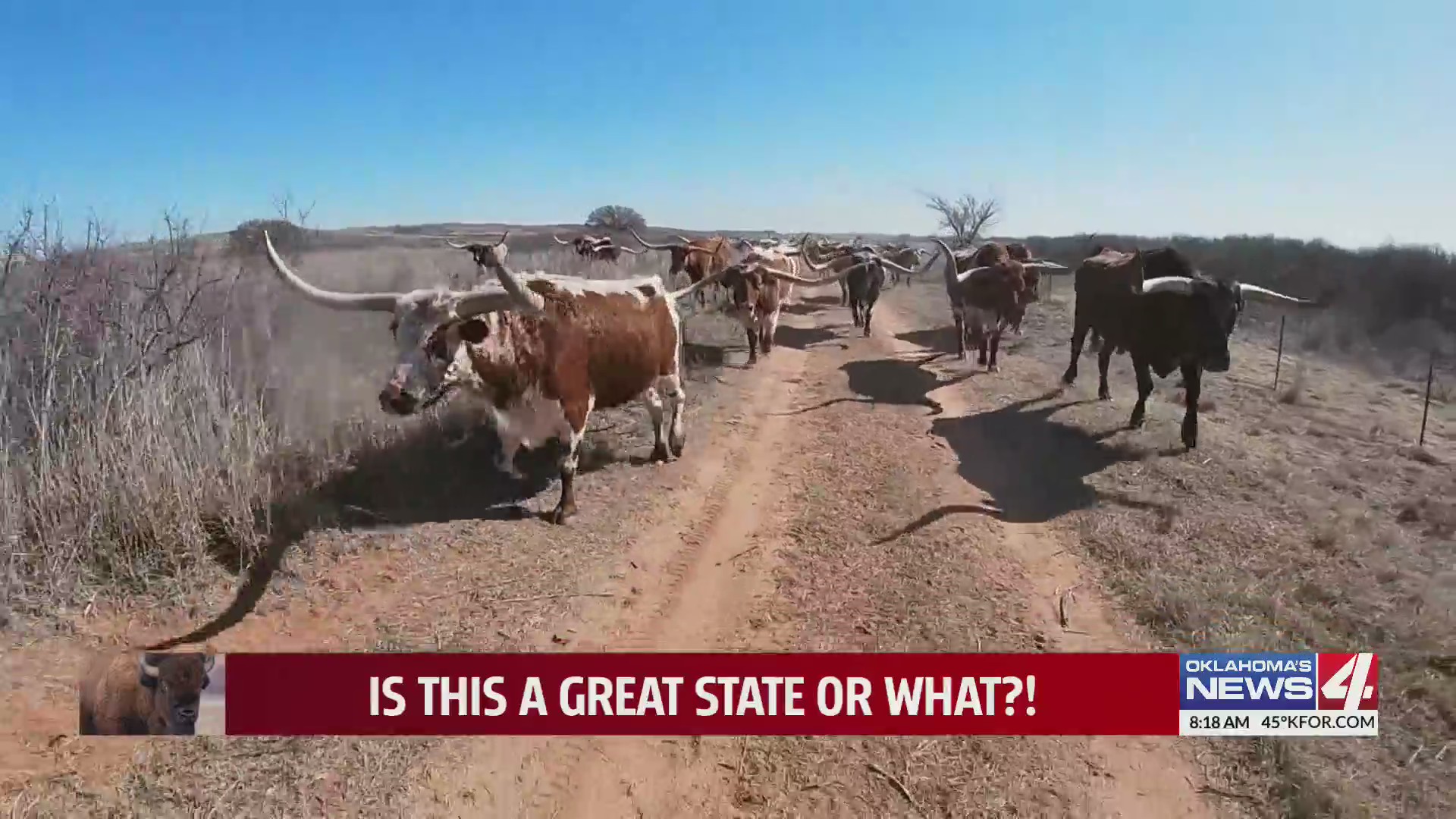 Eleven Slash Ranch Oklahoma’s Most Famous Herd: The Slash-O-Ranch Longhorns prepare for ...