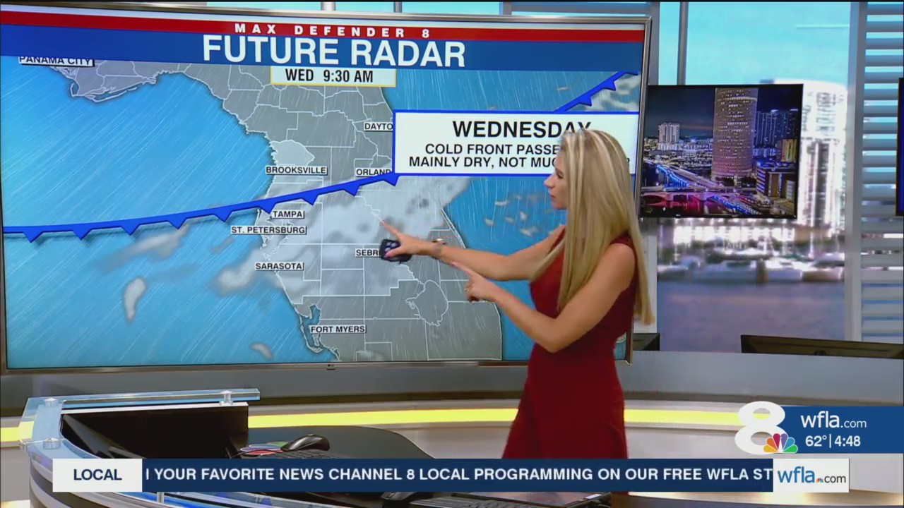 Sunny skies and warming temps this week in Tampa Bay – WFLA