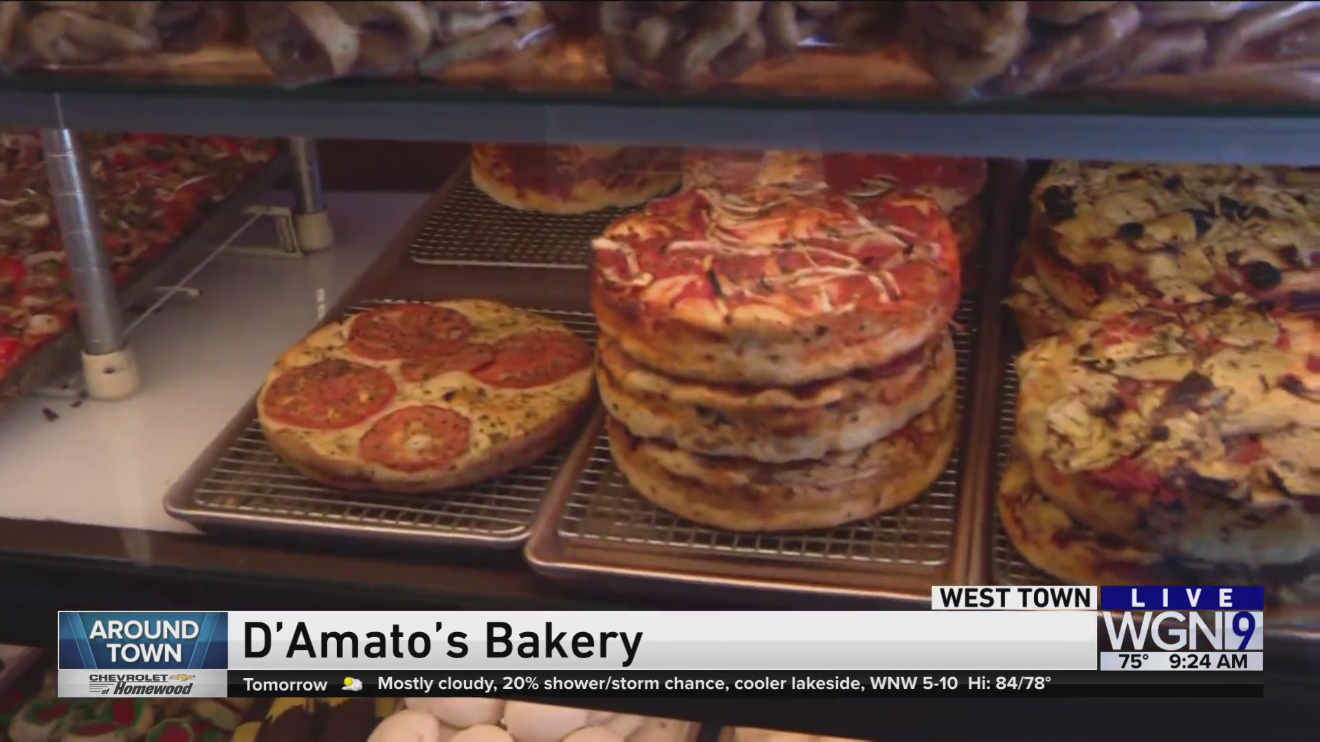 Around Town – D’amato’s Bakery & Subs – WGN-TV