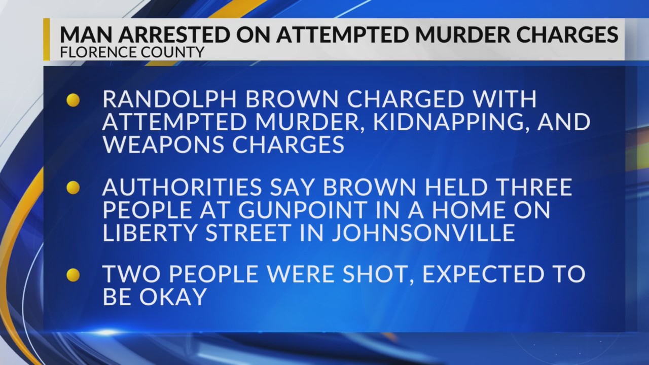 Lake City man faces 2 counts of attempted murder in Johnsonville-area ...